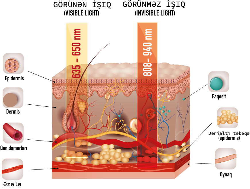 hucre-ısık-etkısı