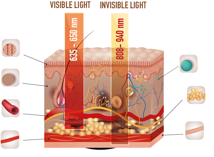 hucre-ısık-etkısı