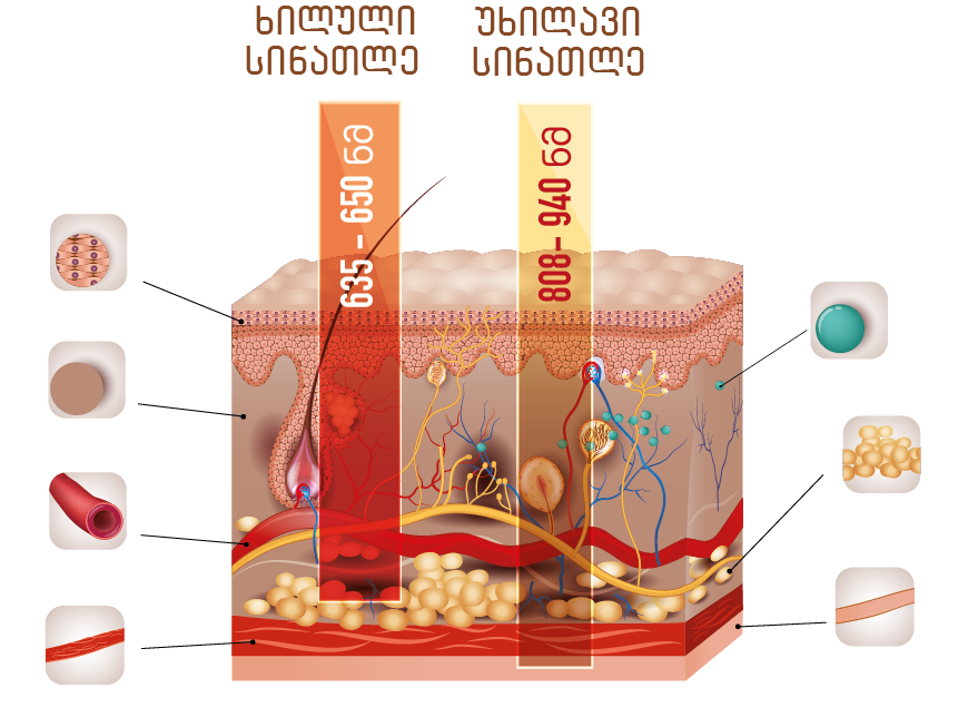 hucre-ısık-etkısı