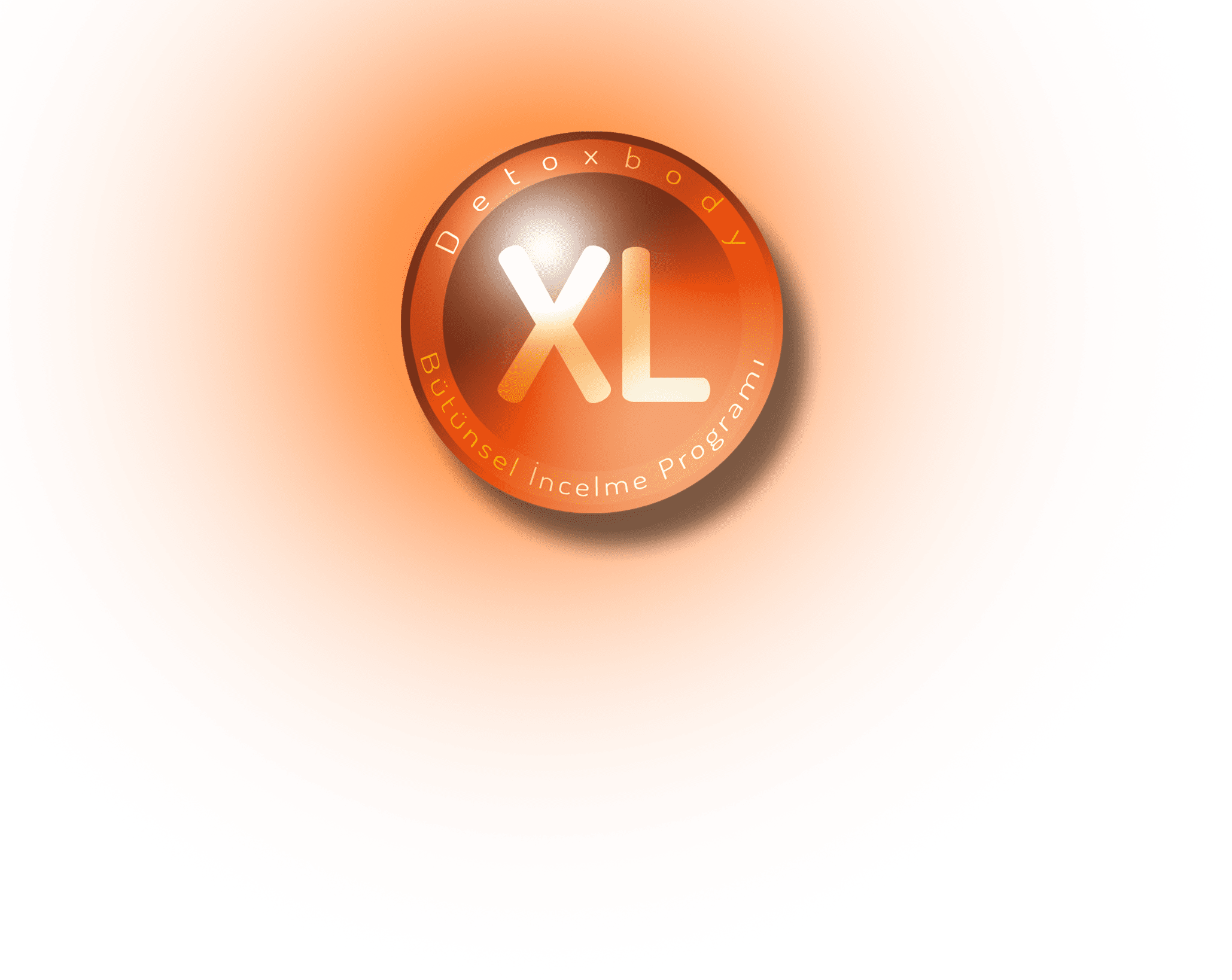 Detoxbody Program Xl 